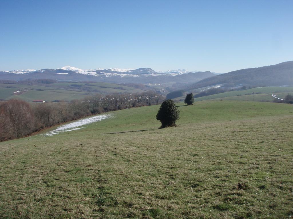 Casa Rural Irugoienea Espinal-Auzperri Екстериор снимка